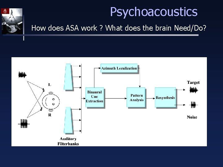 Psychoacoustics How does ASA work ? What does the brain Need/Do? 