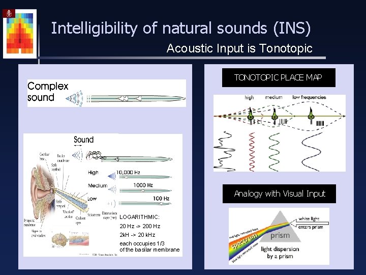 Intelligibility of natural sounds (INS) Acoustic Input is Tonotopic TONOTOPIC PLACE MAP Analogy with