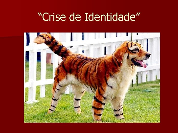 “Crise de Identidade” 