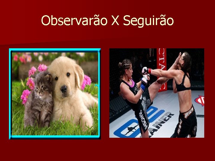 Observarão X Seguirão 