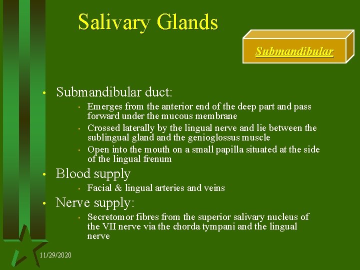 Salivary Glands Submandibular • Submandibular duct: • • Blood supply • • Emerges from
