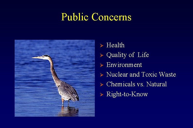 Public Concerns Ø Ø Ø Health Quality of Life Environment Nuclear and Toxic Waste