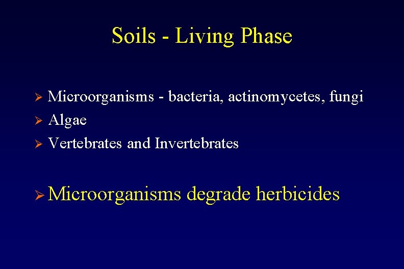 Soils - Living Phase Microorganisms - bacteria, actinomycetes, fungi Ø Algae Ø Vertebrates and