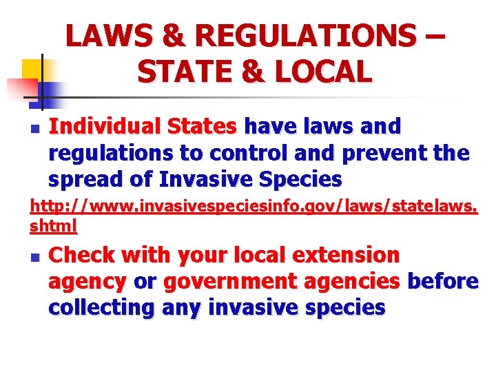 LAWS & REGULATIONS – STATE & LOCAL n Individual States have laws and regulations