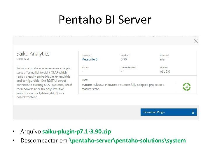 Pentaho BI Server • Arquivo saiku-plugin-p 7. 1 -3. 90. zip • Descompactar em