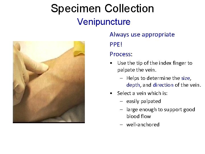 Specimen Collection Venipuncture Always use appropriate PPE! Process: • Use the tip of the Specimen Collection Venipuncture Always use appropriate PPE! Process: • Use the tip of the