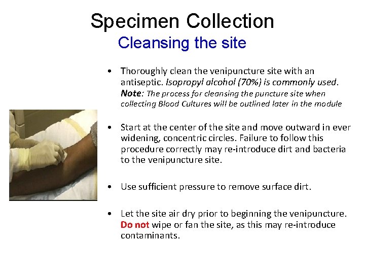 Specimen Collection Cleansing the site • Thoroughly clean the venipuncture site with an antiseptic. Specimen Collection Cleansing the site • Thoroughly clean the venipuncture site with an antiseptic.