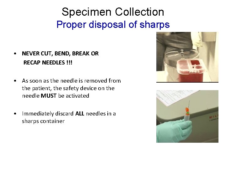 Specimen Collection Proper disposal of sharps • NEVER CUT, BEND, BREAK OR RECAP NEEDLES Specimen Collection Proper disposal of sharps • NEVER CUT, BEND, BREAK OR RECAP NEEDLES
