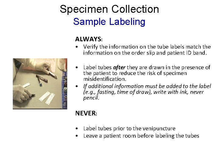 Specimen Collection Sample Labeling ALWAYS: • Verify the information on the tube labels match Specimen Collection Sample Labeling ALWAYS: • Verify the information on the tube labels match