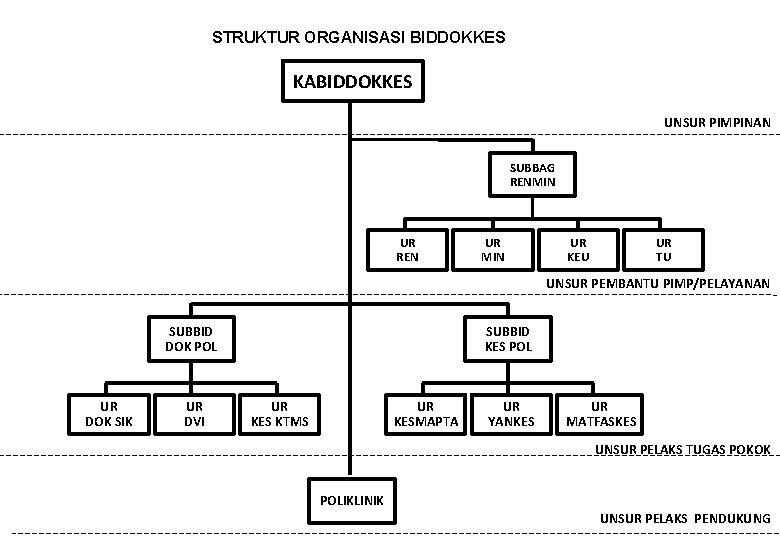 STRUKTUR ORGANISASI BIDDOKKES KABIDDOKKES UNSUR PIMPINAN SUBBAG RENMIN UR REN UR MIN UR KEU