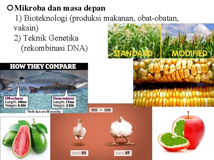  Mikroba dan masa depan 1) Bioteknologi (produksi makanan, obat-obatan, vaksin) 2) Teknik Genetika