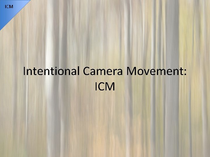ICM Intentional Camera Movement: ICM 
