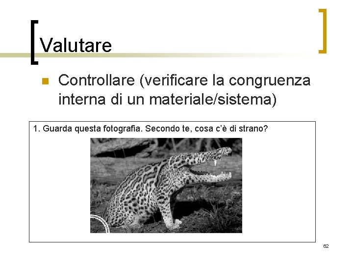 Valutare n Controllare (verificare la congruenza interna di un materiale/sistema) 1. Guarda questa fotografia.