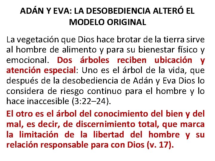 ADÁN Y EVA: LA DESOBEDIENCIA ALTERÓ EL MODELO ORIGINAL La vegetación que Dios hace