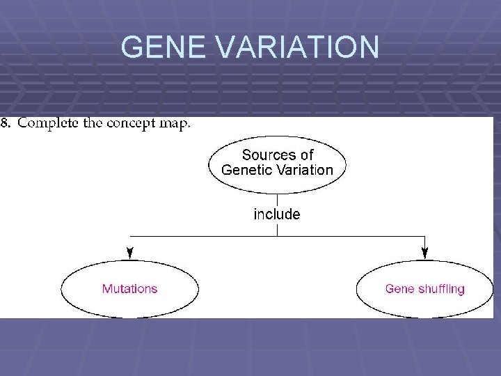 GENE VARIATION 