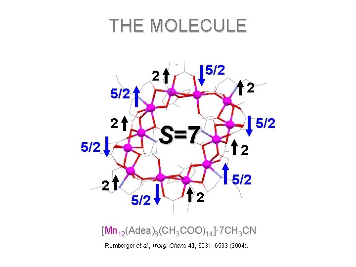 THE MOLECULE 5/2 2 2 5/2 2 S=7 5/2 2 [Mn 12(Adea)8(CH 3 COO)14]·