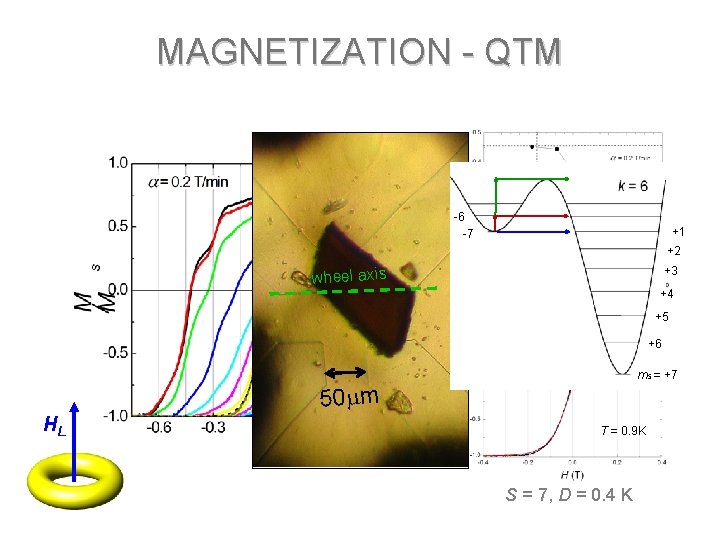 MAGNETIZATION - QTM Tc ~0. 3 K -6 -7 +1 TB ~0. 9 K