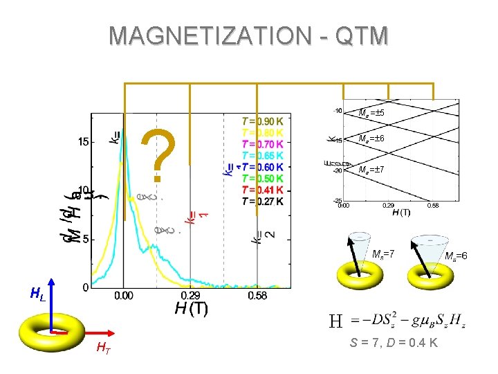 MAGNETIZATION - QTM Ms = 5 ? Ms = 6 Ms = 7 HL