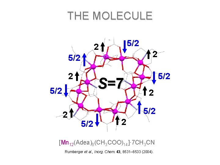 THE MOLECULE 5/2 2 2 5/2 2 S=7 5/2 2 [Mn 12(Adea)8(CH 3 COO)14]·
