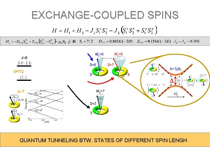 EXCHANGE-COUPLED SPINS QUANTUM TUNNELING BTW. STATES OF DIFFERENT SPIN LENGH 