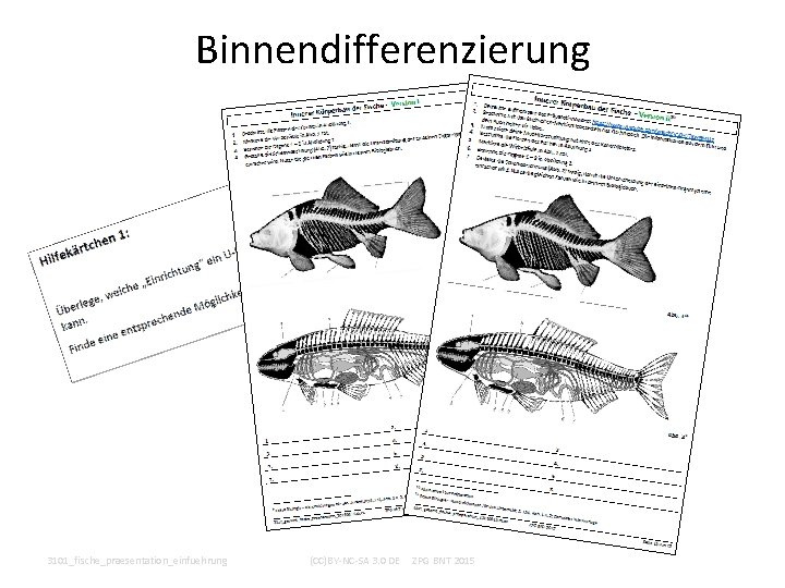 Binnendifferenzierung 3101_fische_praesentation_einfuehrung (CC)BY-NC-SA 3. 0 DE ZPG BNT 2015 