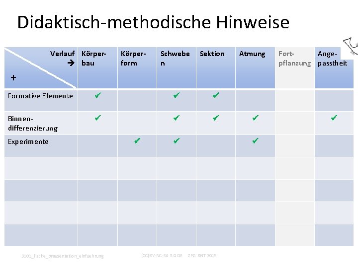 Didaktisch-methodische Hinweise Verlauf Körper bau Körperform Schwebe n Sektion Atmung Fort. Angepflanzung passtheit +