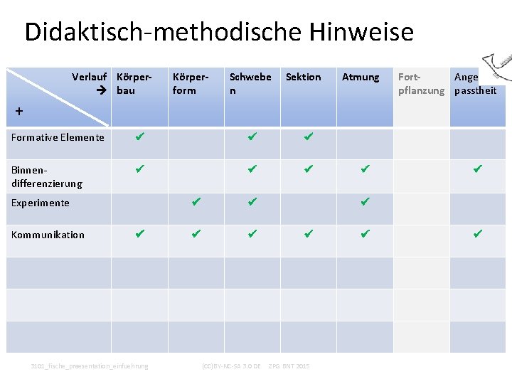 Didaktisch-methodische Hinweise Verlauf Körper bau Körperform Schwebe n Sektion Atmung Fort. Angepflanzung passtheit +