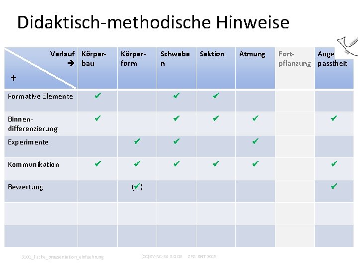 Didaktisch-methodische Hinweise Verlauf Körper bau Körperform Schwebe n Sektion Atmung Fort. Angepflanzung passtheit +