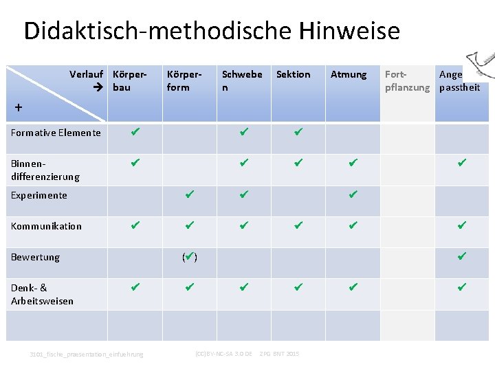 Didaktisch-methodische Hinweise Verlauf Körper bau Körperform Schwebe n Sektion Atmung Fort. Angepflanzung passtheit +