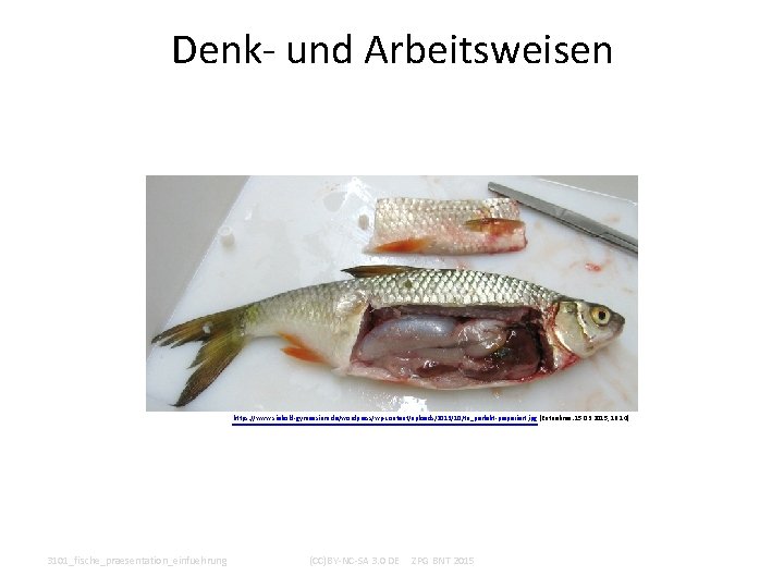 Denk- und Arbeitsweisen https: //www. siebold-gymnasium. de/wordpress/wp-content/uploads/2013/10/tn_perfekt-prapariert. jpg (Entnahme: 15. 03. 2015, 16: 14)