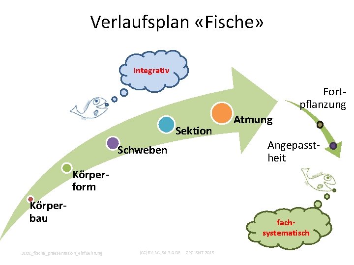 Verlaufsplan «Fische» integrativ Fortpflanzung Sektion Schweben Atmung Angepasstheit Körperform Körperbau 3101_fische_praesentation_einfuehrung fachsystematisch (CC)BY-NC-SA 3. Verlaufsplan «Fische» integrativ Fortpflanzung Sektion Schweben Atmung Angepasstheit Körperform Körperbau 3101_fische_praesentation_einfuehrung fachsystematisch (CC)BY-NC-SA 3.