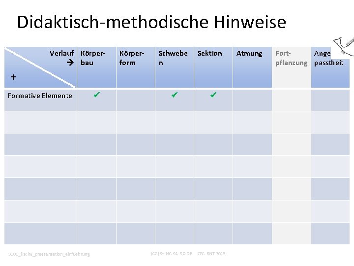 Didaktisch-methodische Hinweise Verlauf Körper bau Körperform Schwebe n Sektion + Formative Elemente 3101_fische_praesentation_einfuehrung (CC)BY-NC-SA