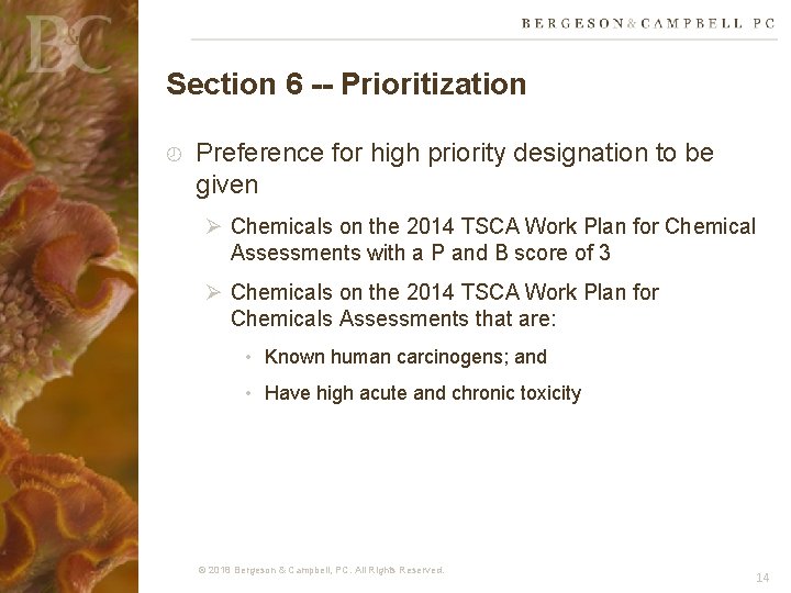 Section 6 -- Prioritization Preference for high priority designation to be given Ø Chemicals