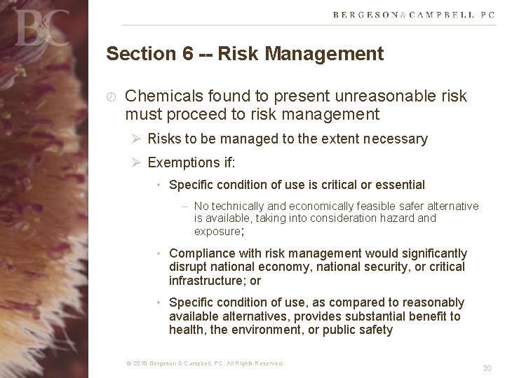 Section 6 -- Risk Management Chemicals found to present unreasonable risk must proceed to