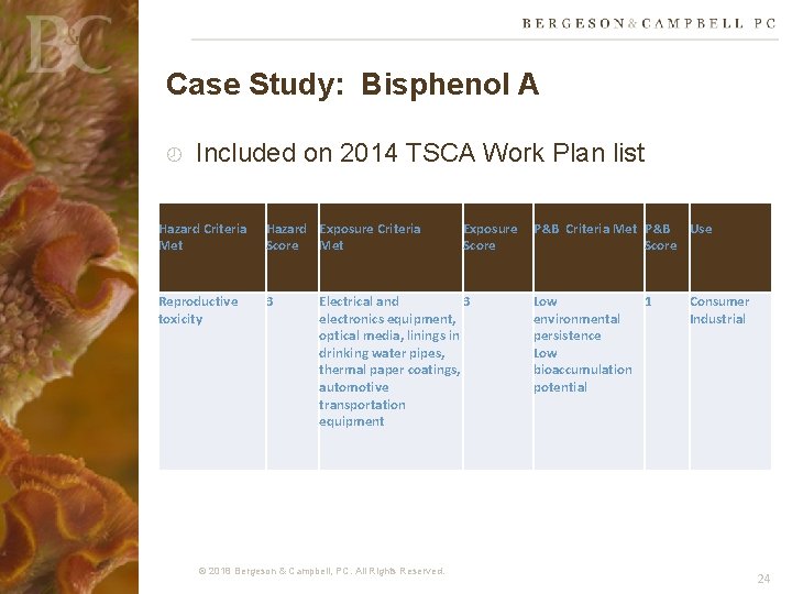 Case Study: Bisphenol A Included on 2014 TSCA Work Plan list Hazard Criteria Met