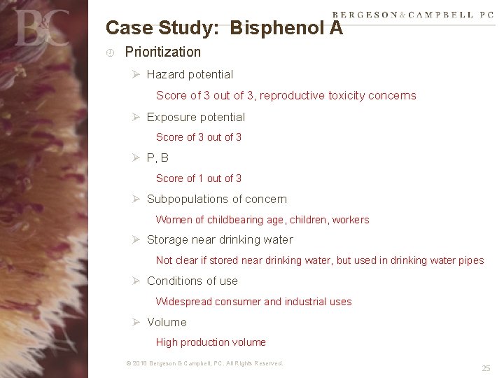 Case Study: Bisphenol A Prioritization Ø Hazard potential Score of 3 out of 3,