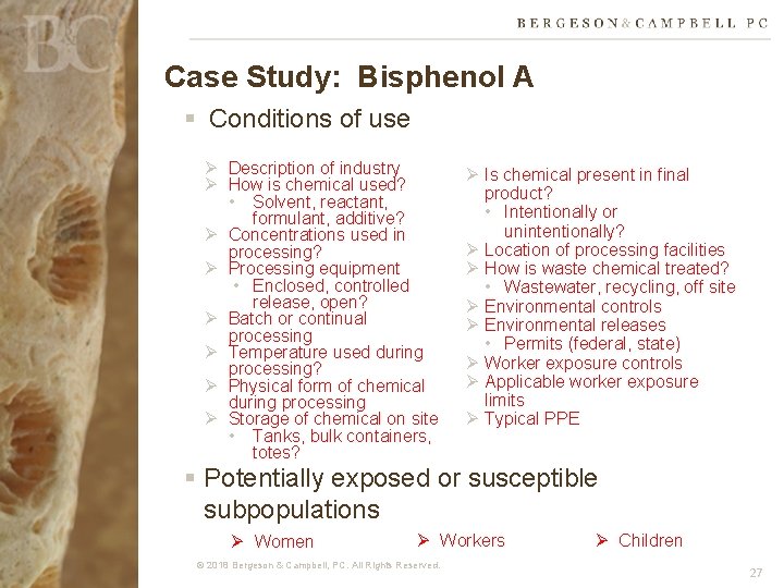 Case Study: Bisphenol A § Conditions of use Ø Description of industry Ø How