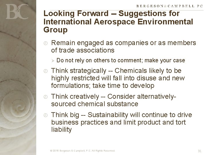 Looking Forward -- Suggestions for International Aerospace Environmental Group Remain engaged as companies or