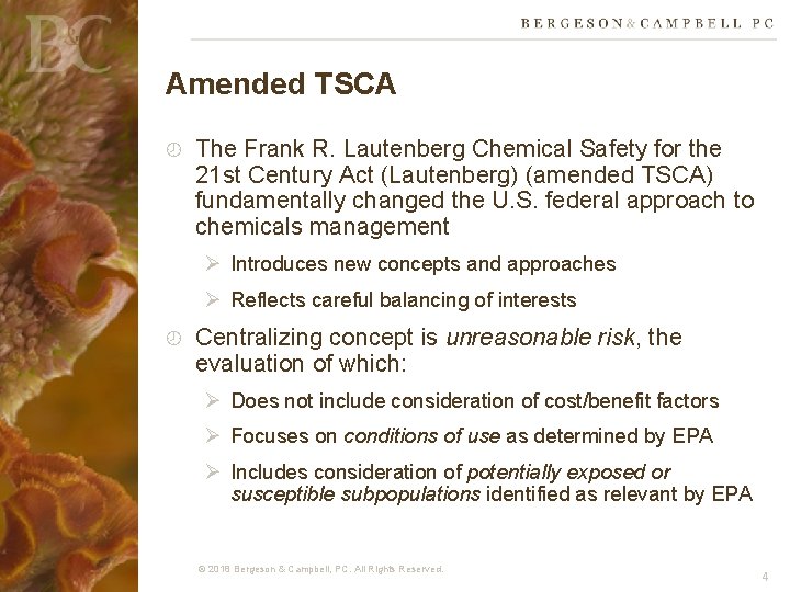 Amended TSCA The Frank R. Lautenberg Chemical Safety for the 21 st Century Act