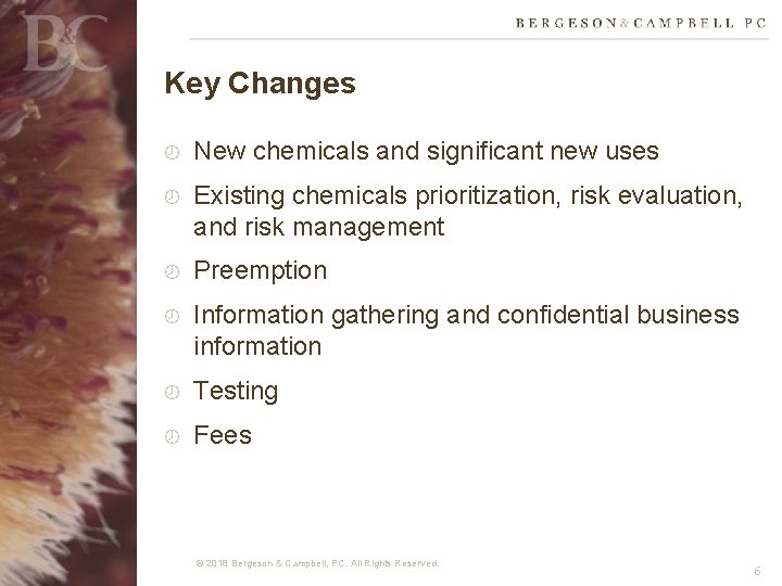 Key Changes New chemicals and significant new uses Existing chemicals prioritization, risk evaluation, and