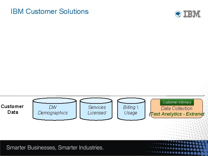 IBM Customer Solutions Customer Data DW Demographics Services Licensed Billing  Usage Customer Intimacy