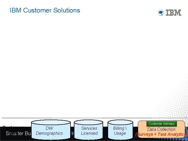 IBM Customer Solutions Customer Data DW Demographics Services Licensed Billing  Usage Customer Intimacy