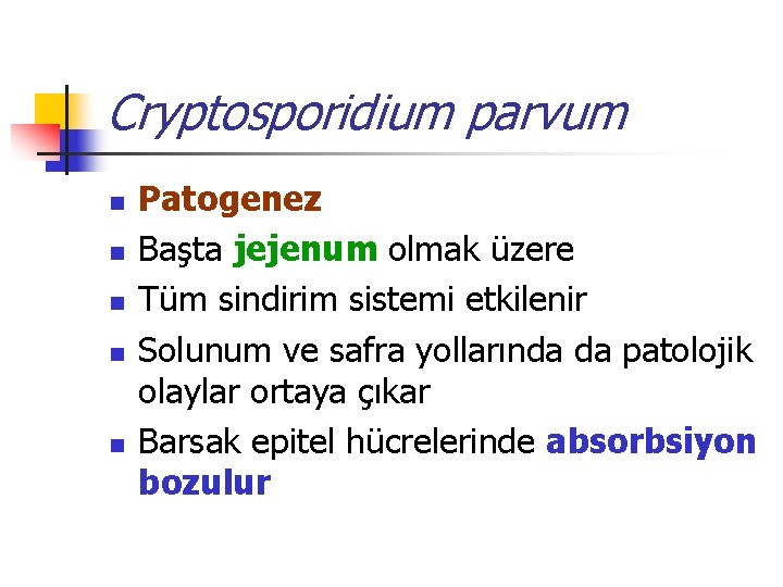 Cryptosporidium parvum n n n Patogenez Başta jejenum olmak üzere Tüm sindirim sistemi etkilenir