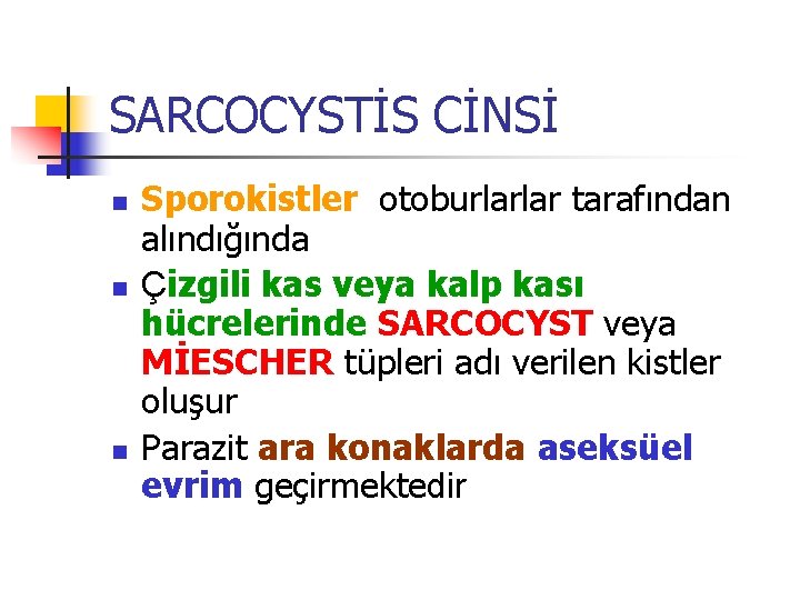 SARCOCYSTİS CİNSİ n n n Sporokistler otoburlarlar tarafından alındığında Çizgili kas veya kalp kası