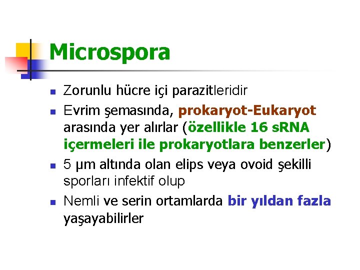 Microspora n n Zorunlu hücre içi parazitleridir Evrim şemasında, prokaryot-Eukaryot arasında yer alırlar (özellikle