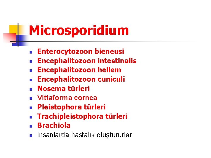 Microsporidium n n n n n Enterocytozoon bieneusi Encephalitozoon intestinalis Encephalitozoon hellem Encephalitozoon cuniculi
