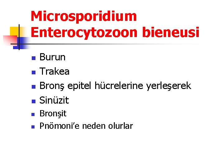 Microsporidium Enterocytozoon bieneusi n n n Burun Trakea Bronş epitel hücrelerine yerleşerek Sinüzit Bronşit