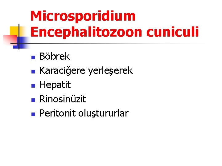 Microsporidium Encephalitozoon cuniculi n n n Böbrek Karaciğere yerleşerek Hepatit Rinosinüzit Peritonit oluştururlar 