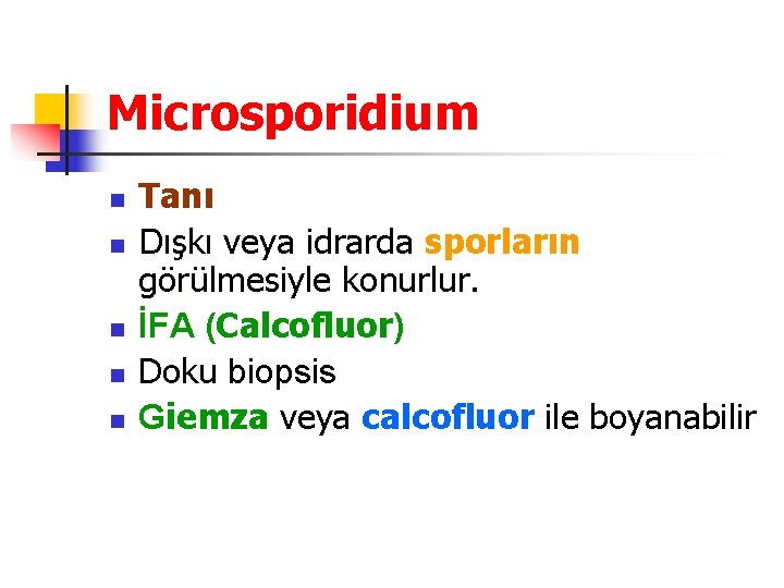 Microsporidium n n n Tanı Dışkı veya idrarda sporların görülmesiyle konurlur. İFA (Calcofluor) Doku