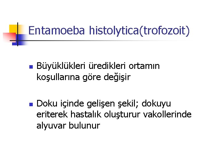 Entamoeba histolytica(trofozoit) n n Büyüklükleri üredikleri ortamın koşullarına göre değişir Doku içinde gelişen şekil;